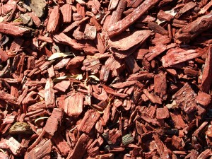 mulch